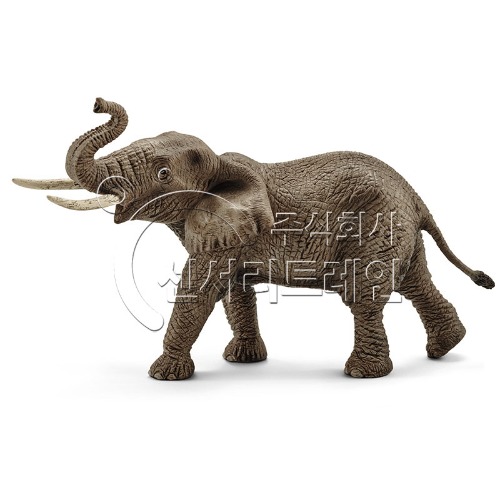 수컷 아프리카 코끼리